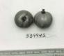 Click for 3 image(s) for this accession. FRUIT